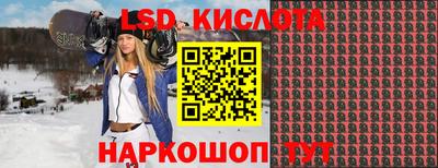 молекула духа Кандалакша