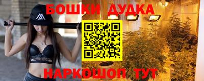 спиды Камышлов