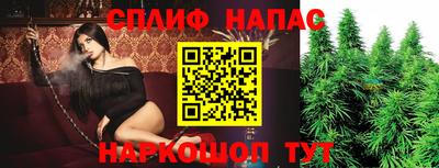 спиды Камышлов