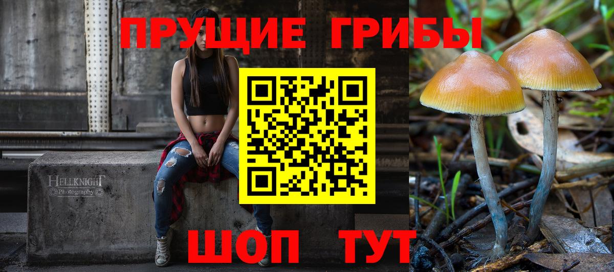 Галлюциногенные грибы MAGIC MUSHROOMS  Псилоцибиновые грибы Magic Shrooms  Куйбышев  Вход с VPN 