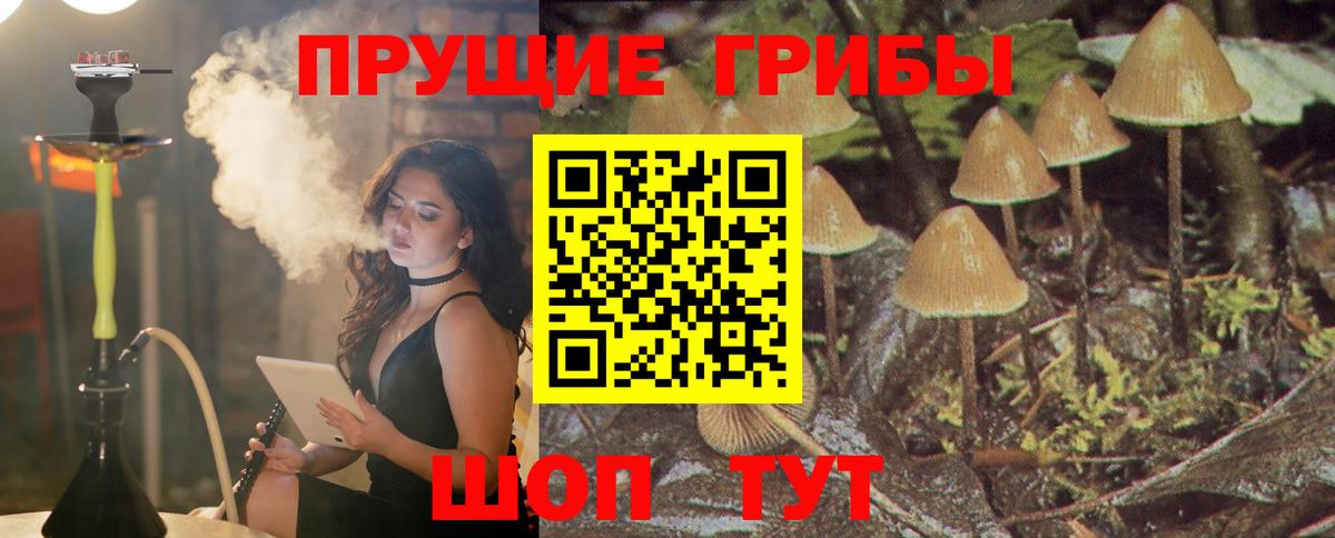 Псилоцибиновые грибы MAGIC MUSHROOMS Куйбышев